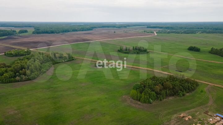 Участок 19,9 сот. (СНТ, ДНП)