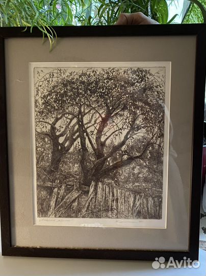 Картина Старые яблони. Калинина