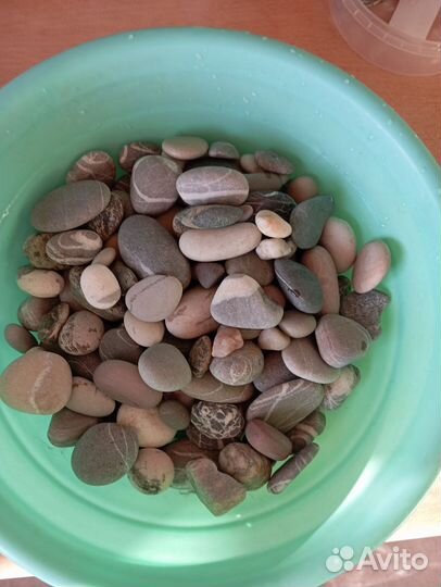 Морские камушки