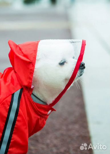 Новый дождевик для собак