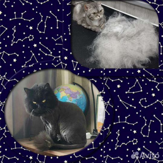 Стрижка(вычесывание) собак,кошек