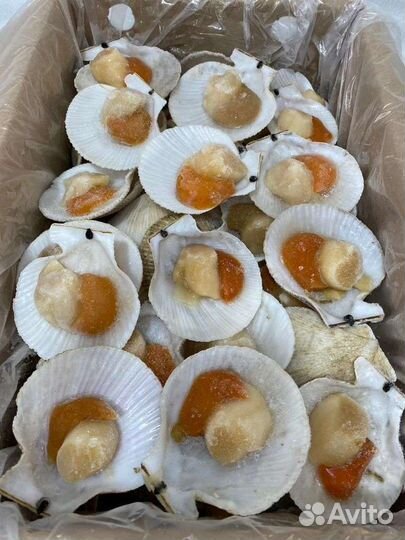 Креветки, крабы, рыба, морепродукты опт