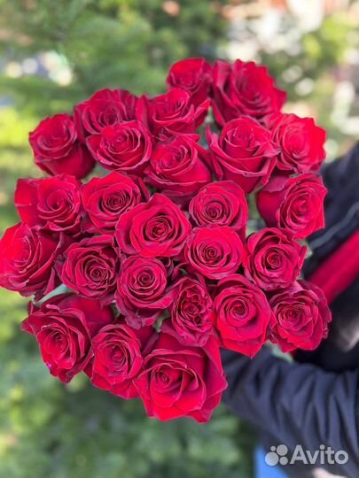 101 роза оптом Цветы Доставка Розы 15 25 51