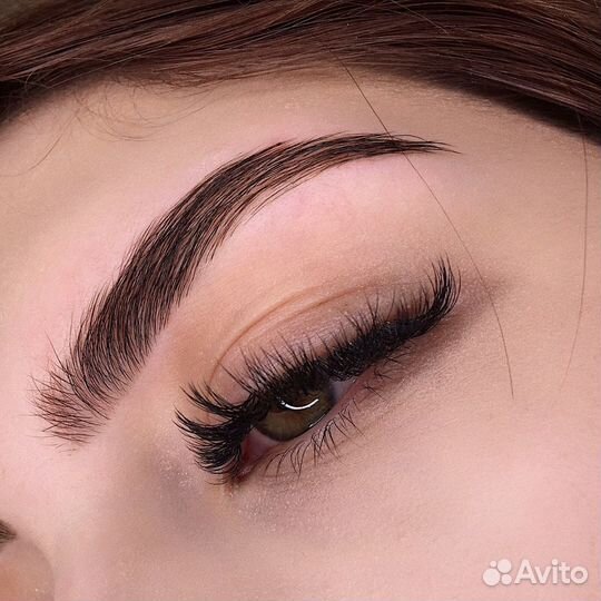 Мастер бровист