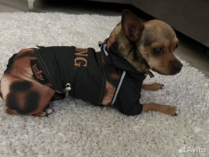 Куртка для маленькой собаки