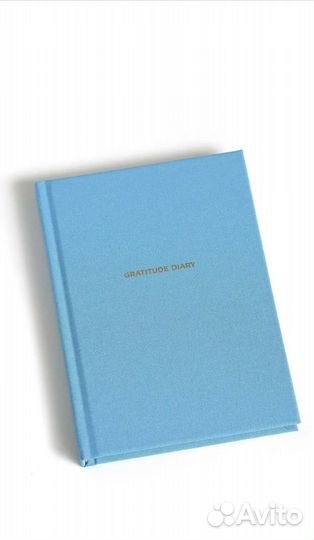 Ежедневники Веденеевой