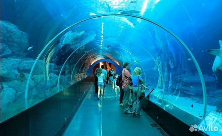 Билеты/купоны на океанариум