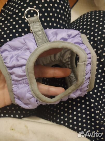 Корм для кошек Шлейка игрушки