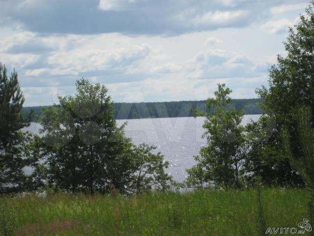 Участок 50 га (СНТ, ДНП)