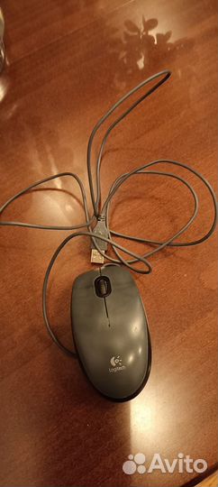 Мышь для компьютера
