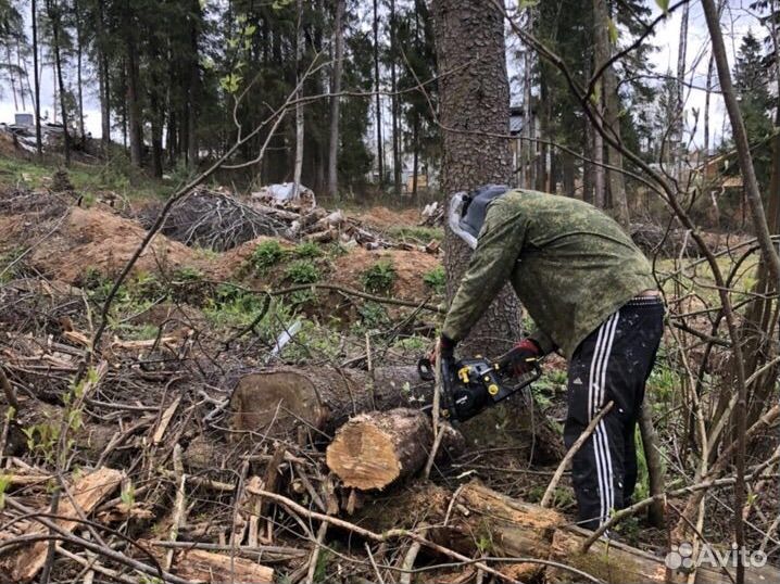 Расчистка участка, спил деревьев, выравнивание