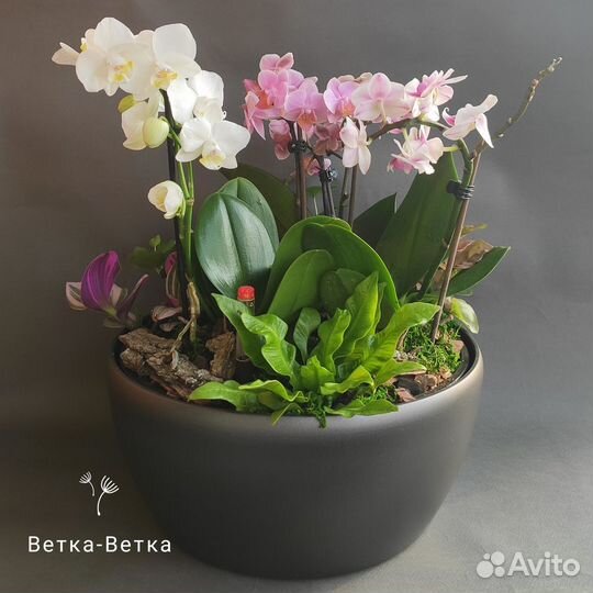 Флорист-декоратор