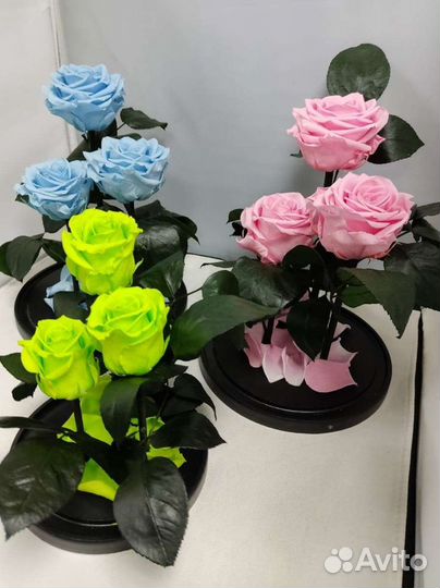 Роза в колбе оптом