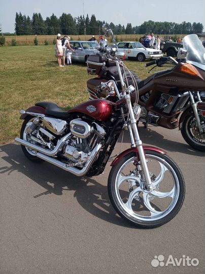 Harley Davidson Sportster custom