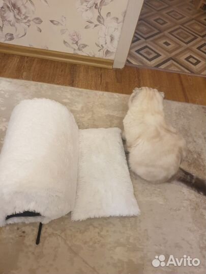 Домик для кошки новый