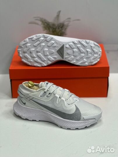 Кроссовки мужские Nike Pegasus Trail 2