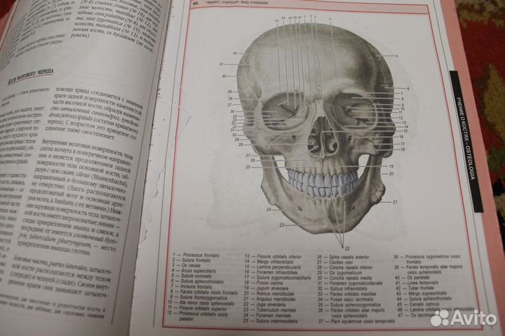 Энциклопедия