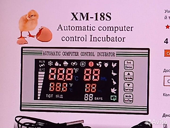Терморегулятор для инкубатора