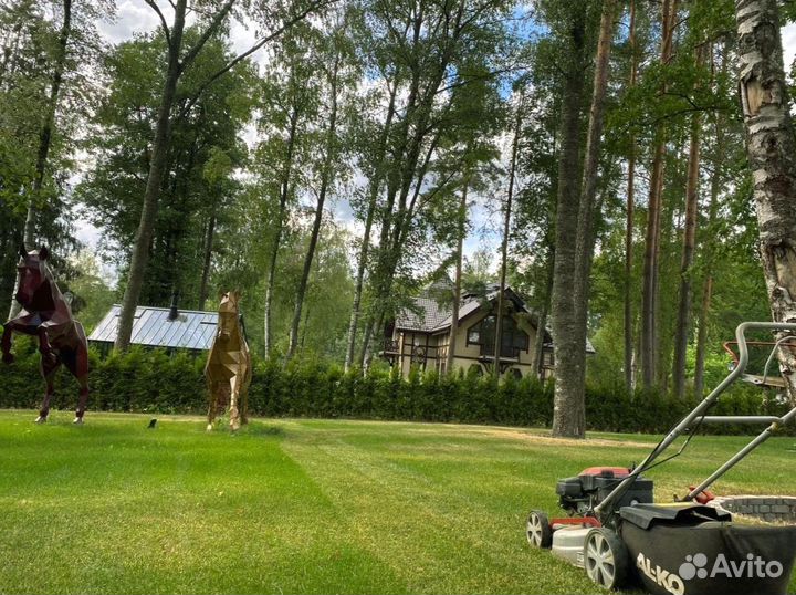 Рулонный газон 