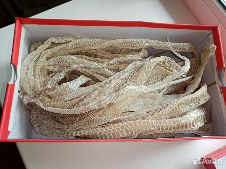 Змеиный выползок (кожа)