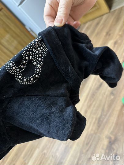 Одежда для собак