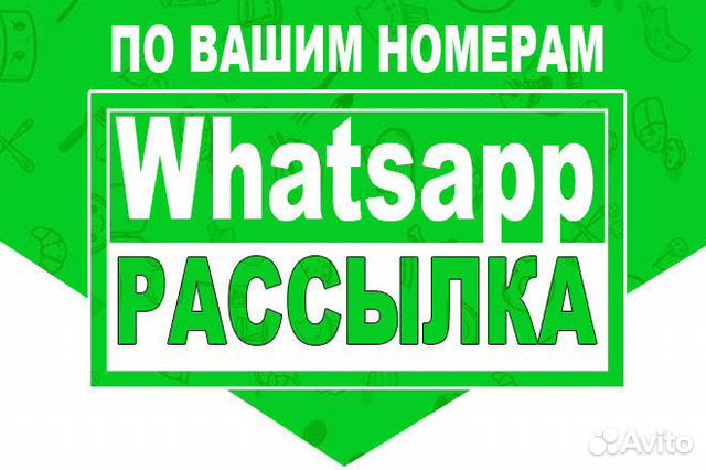 Whatsapp Email Рассылка