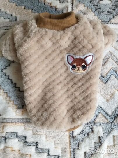 Одежда для собак мелких пород