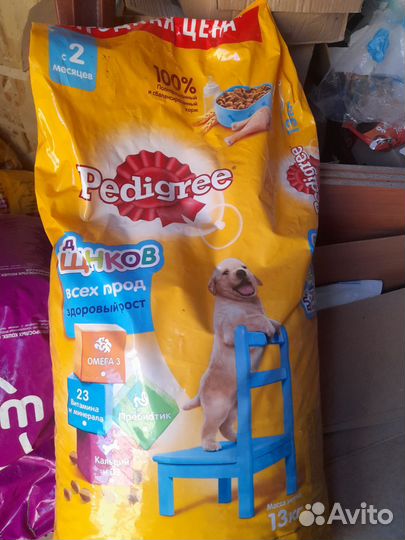 Корм для собак