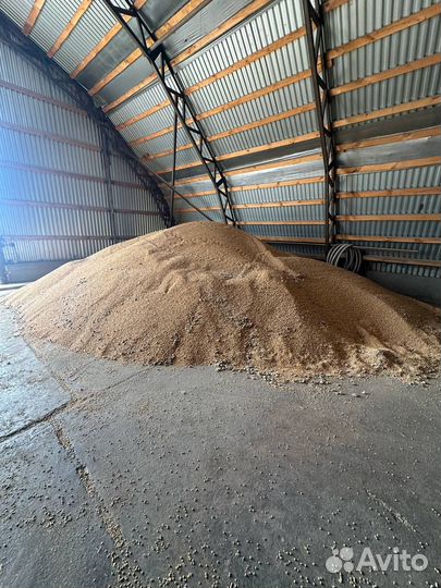 Горох дробленый