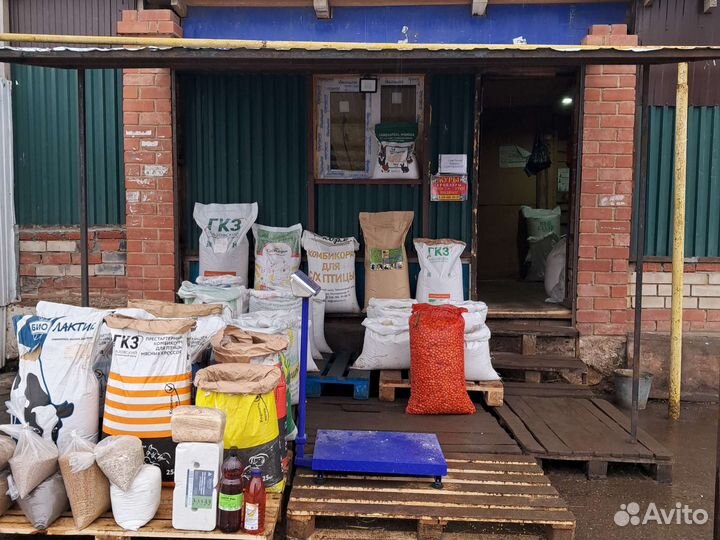 Пшеница комбикорм