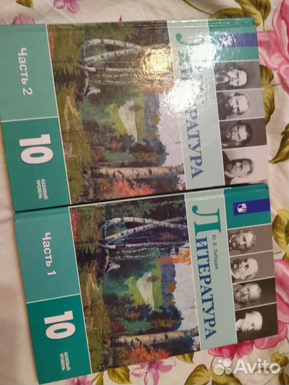 Учебник по литературе, 10 класс