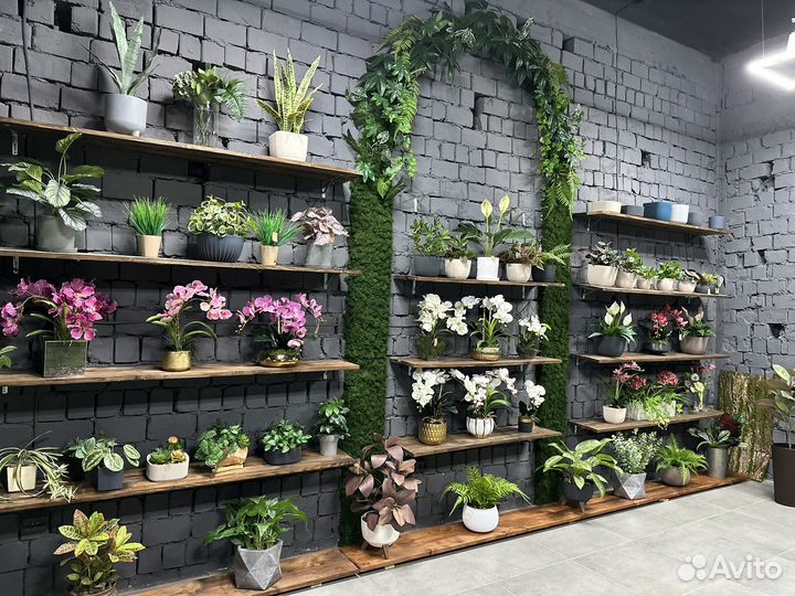 Искуственные растения и деревья, озеленение декор