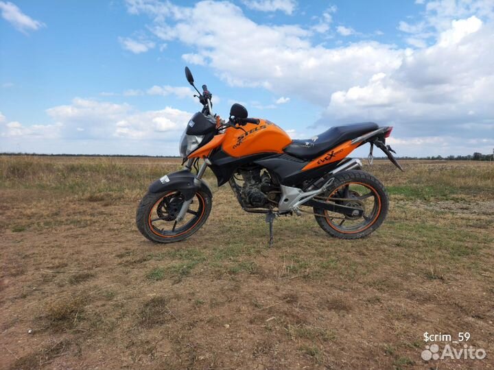 Stels flex 250