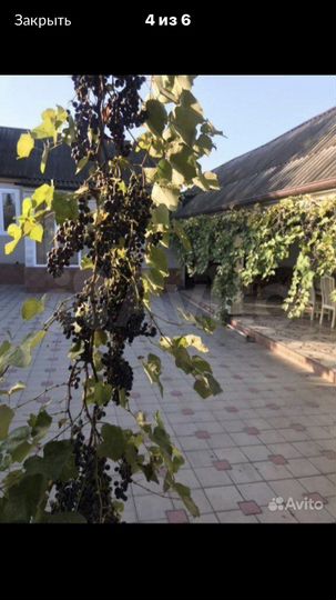 Дом 100 м² на участке 21 сот.