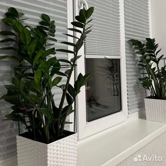 Шторы плиссе