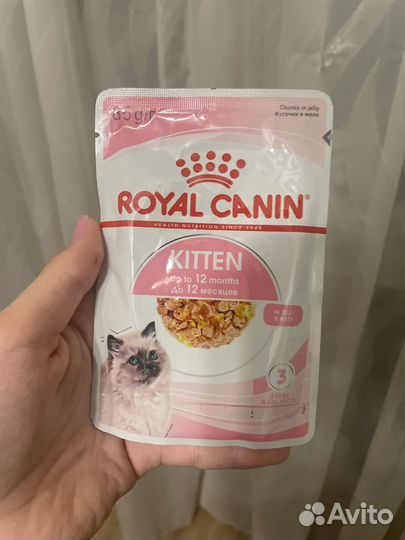 Корм для котят royal canin