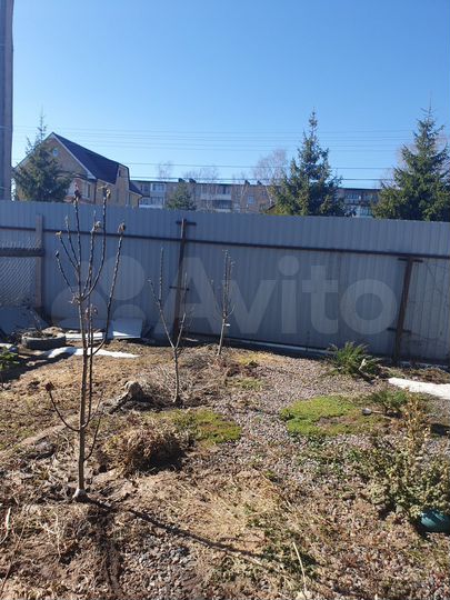 Дом 35 м² на участке 19,2 сот.