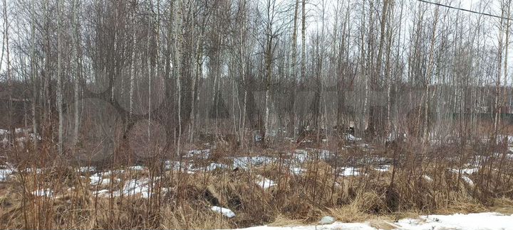 Участок 15 сот. (СНТ, ДНП)