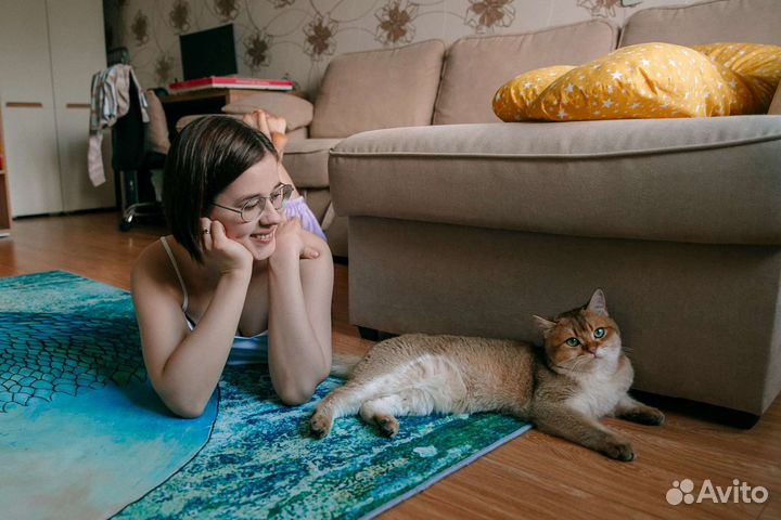 Котоняня с выездом на дом