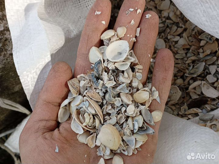 Ракушечник для кур