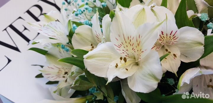 Доставка 46-10-00. Цветы. Букет 