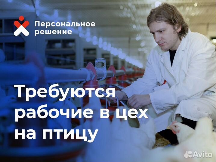 Разнорабочие с ежедневной оплатой