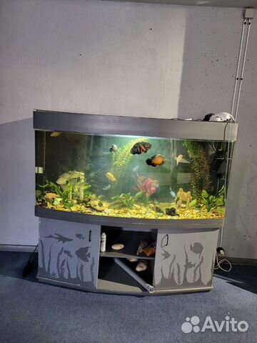 Украшение для аквариума