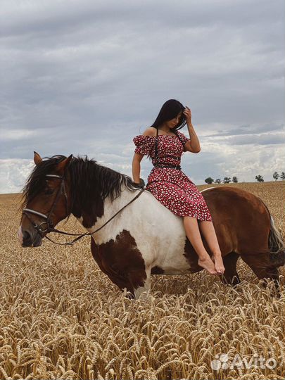 Прогулки верхом, катание детей и взрослых