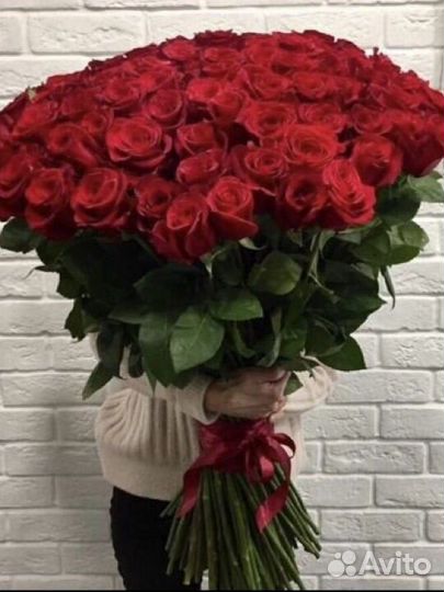 51 роза эквадор 70 см