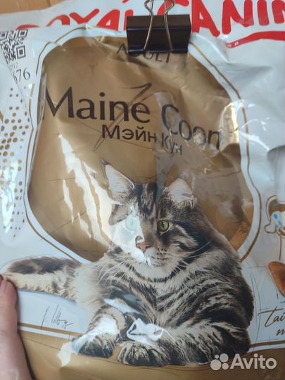 Сухой корм для кошек Роял