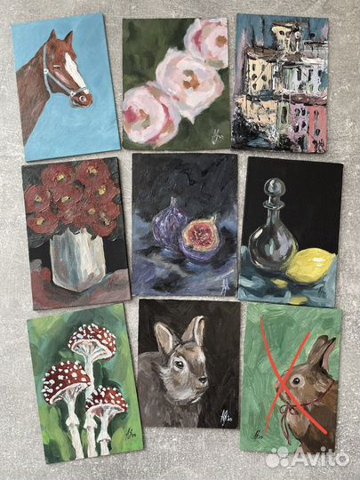 Картины этюды Кот,Заяц,Цветы 10х15 и 20х15