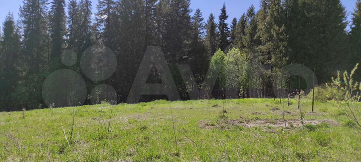 Участок 26,2 сот. (СНТ, ДНП)