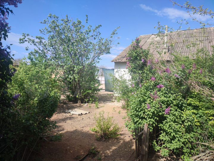 2-к. квартира, 49,6 м², 1/1 эт.