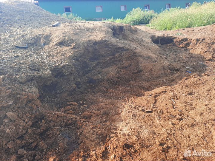 Удобрения для огорода